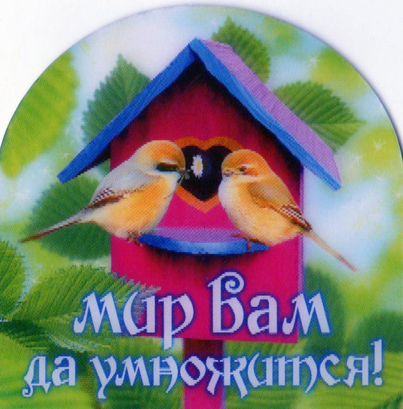 Магнит"Мир Вам да умножиться" Магнит"Мир Вам да умножиться"