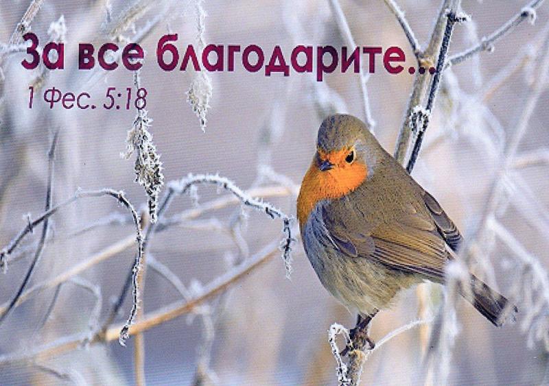 Магнит"За все благодарите..." Магнит"За все благодарите..."