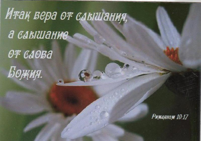 Магнит Магнит