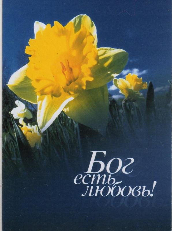 Магнит Магнит