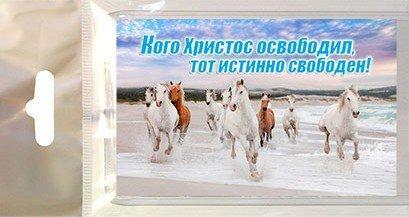Магнит Магнит