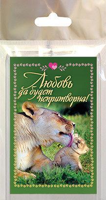 Магнит Магнит