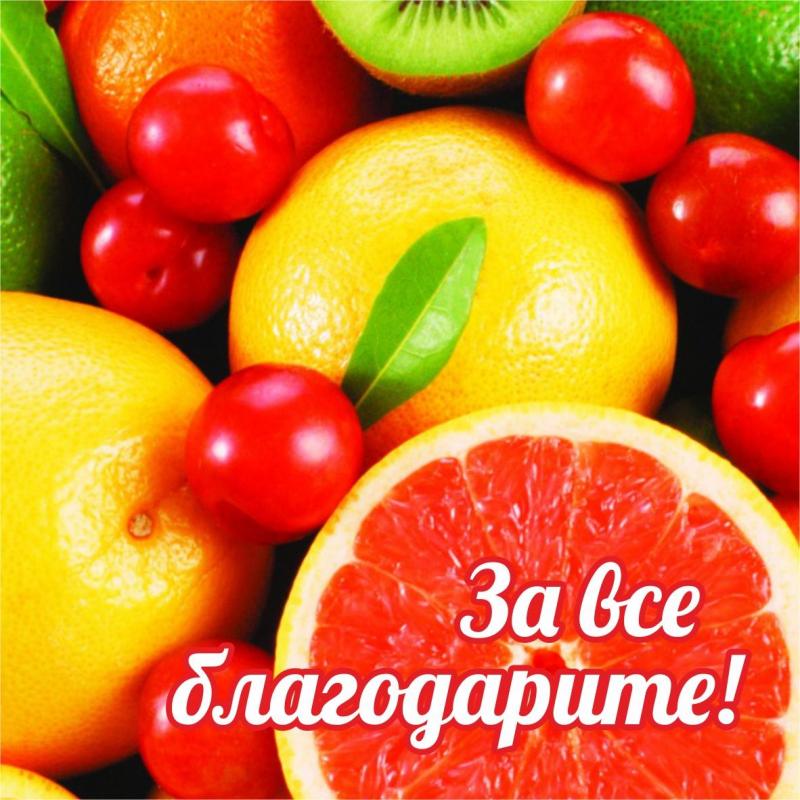 За все благодарите! За все благодарите!