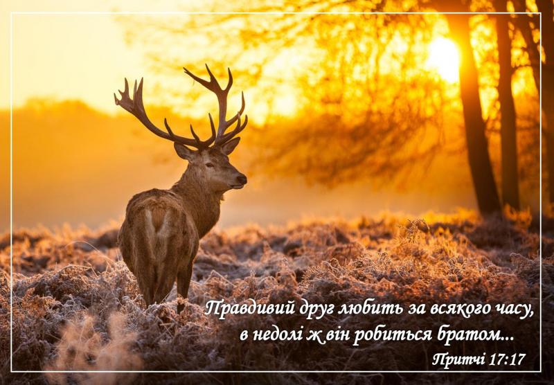 Открытка Открытка