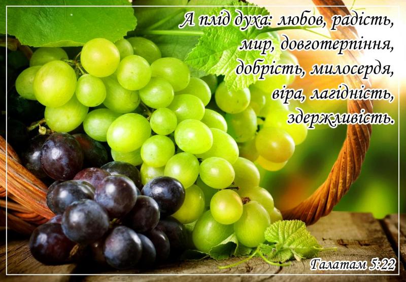 Открытка Открытка