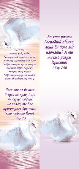 Чого око не бачило й вухо не чуло... Чого око не бачило й вухо не чуло...