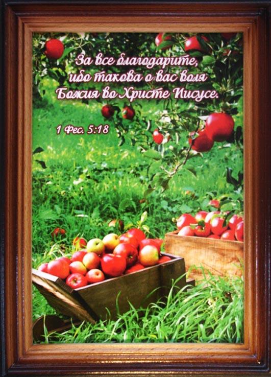 За все благодарите... За все благодарите...
