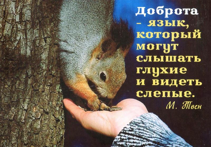 Доброта... Доброта...