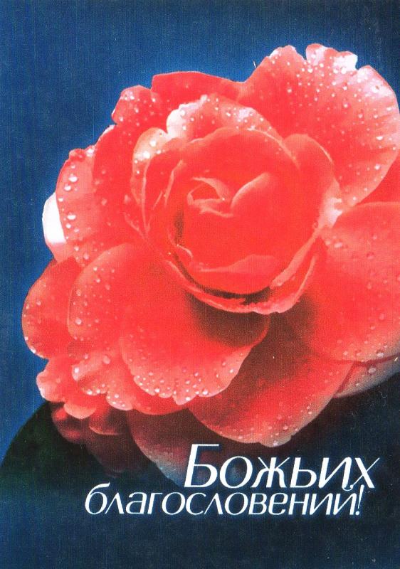 Божьих благословений! Божьих благословений!
