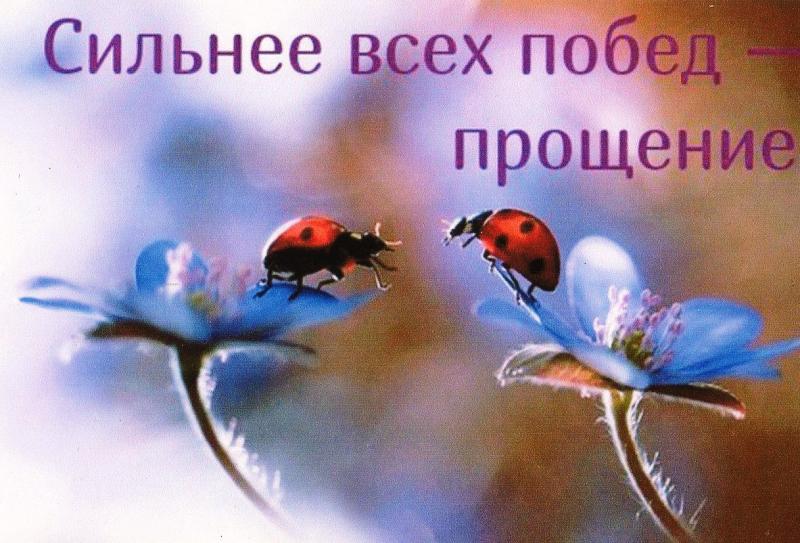 Сильнее всех.... Сильнее всех....