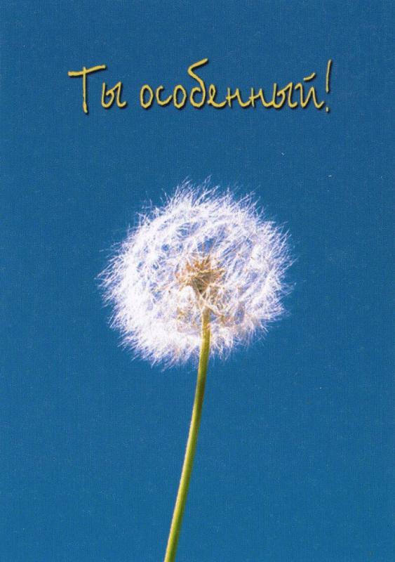 Ты особенный! Ты особенный!