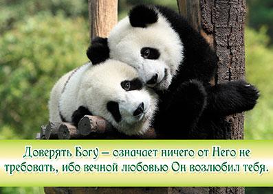 Доверять Богу... Доверять Богу...