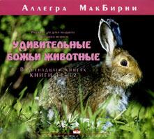 Удивительные животные 11-12 Удивительные животные 11-12