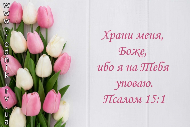 Картина модульная Картина модульная