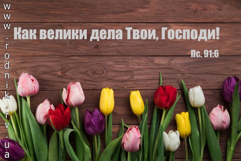 Картина модульная Картина модульная